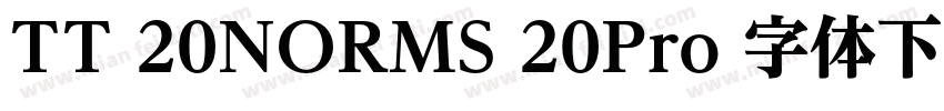 TT 20NORMS 20Pro 字体下载字体转换